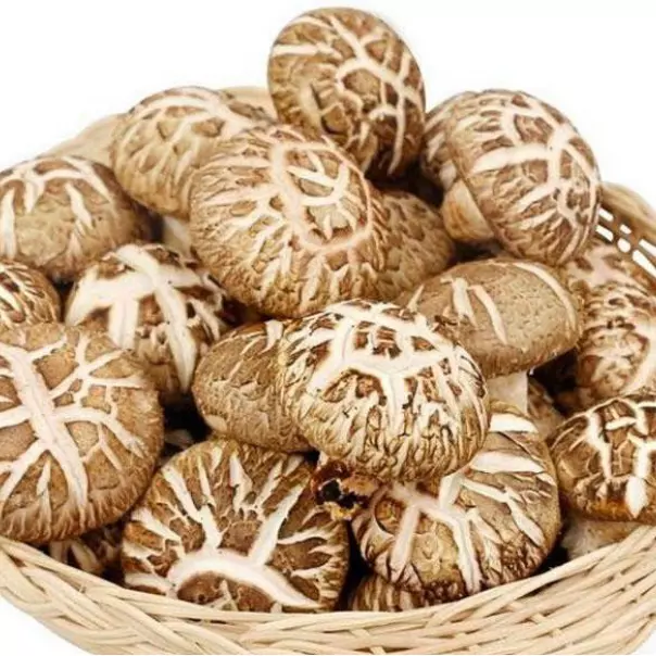 HONGOS SHIITAKE 花菇