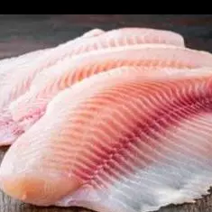 Tilapia