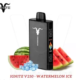 ignite v250 watermelon ice