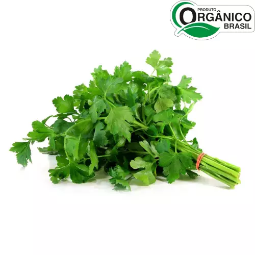 Salsinha Orgânica Maço