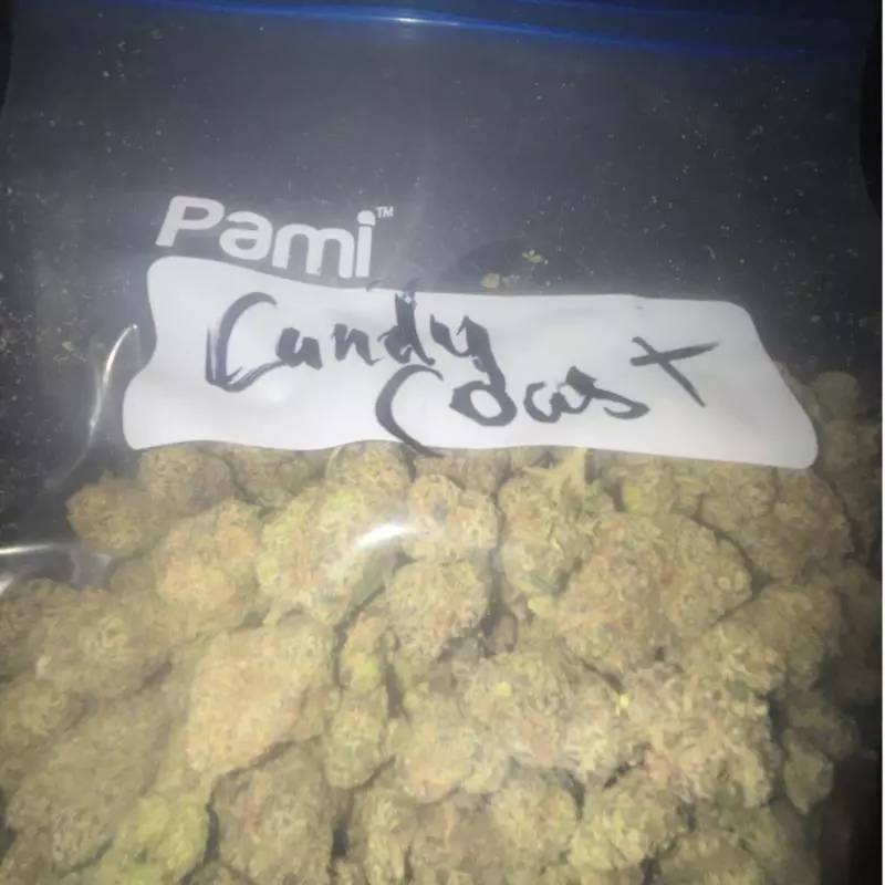 Candy Coast: Sativa