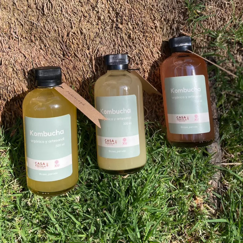 Kombucha