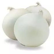 Cebolla Blanca