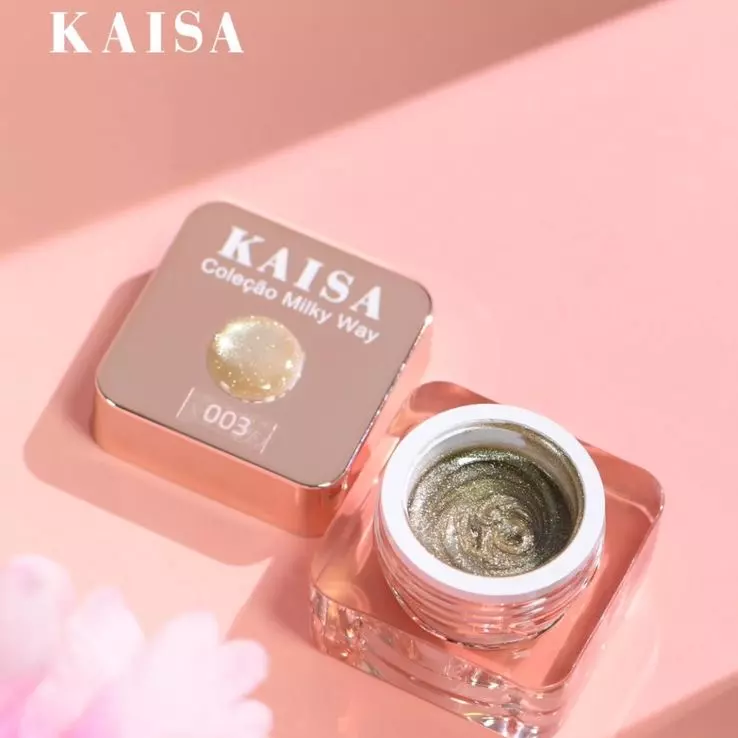 Gel Paint Kaisa Magnético N•003