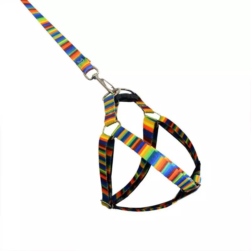 PEITORAL AMERICANA SEDA