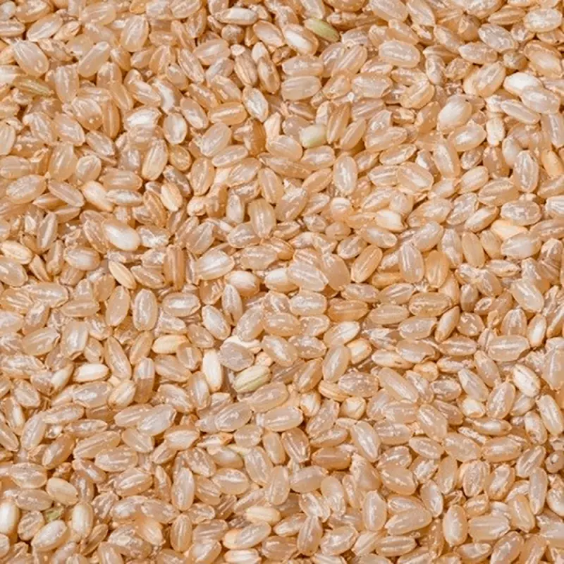 ARROZ INTEGRAL CATETO 100GR