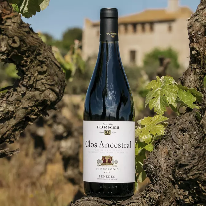 FAMILIA TORRES CLOS ANCESTRAL