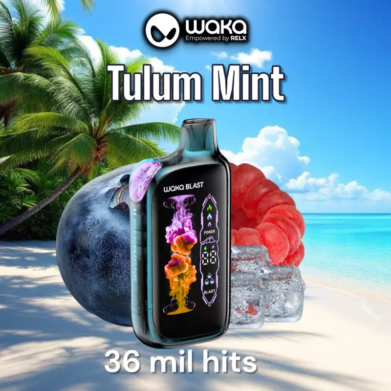 Tulum Mint