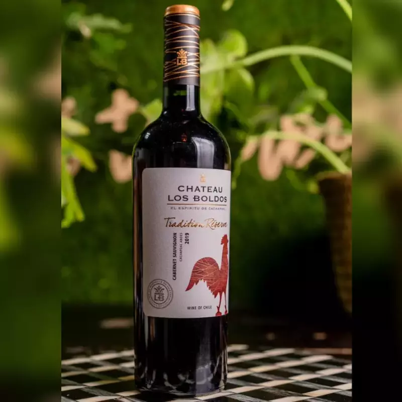 Chateau los boldos cachapoal andes