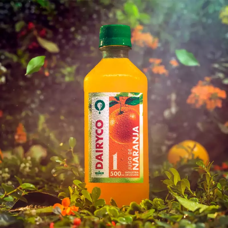 Dairyco Naranja 500ml