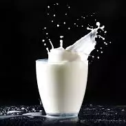 LECHE VAPORIZADA