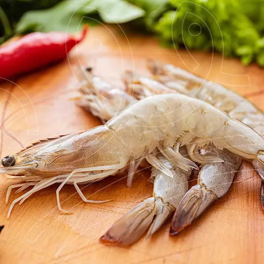 Camarão XG Cinza 30/40 Inteiro