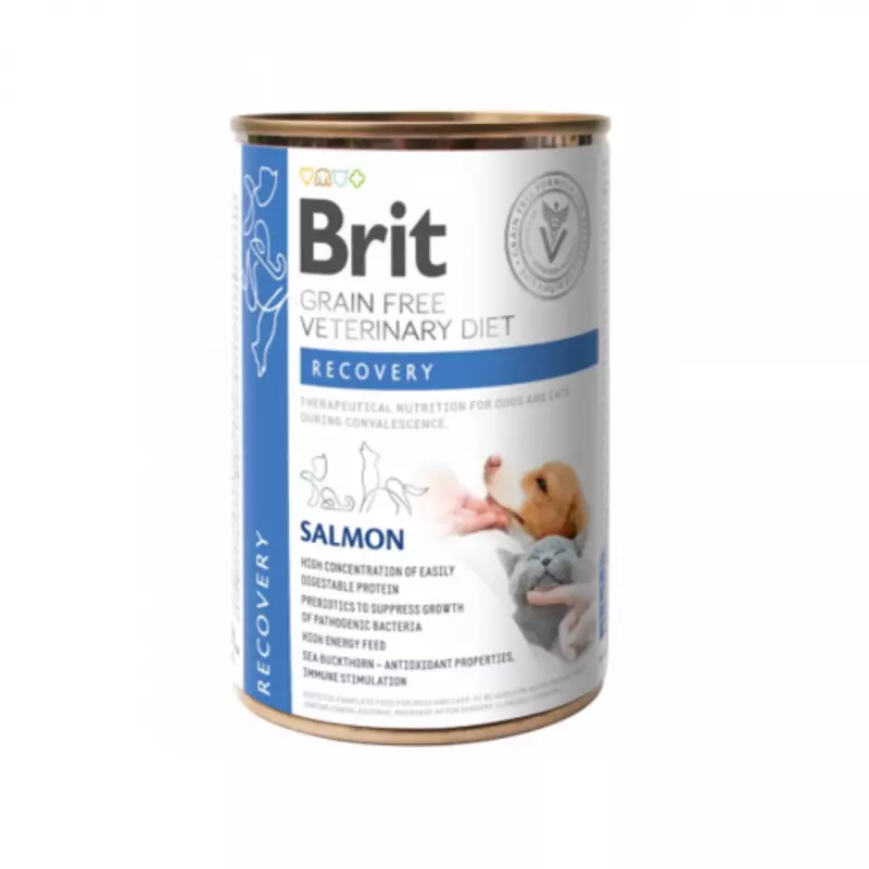 BRIT Dog/Cat Recovery 400 Gr