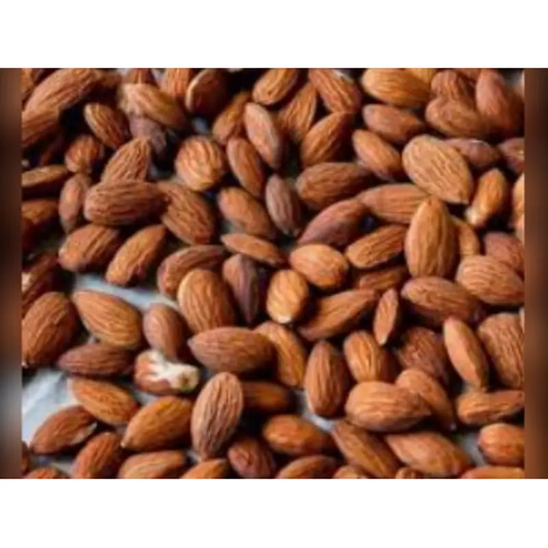 Amendoa Torrada Sem Sal Premium 100g