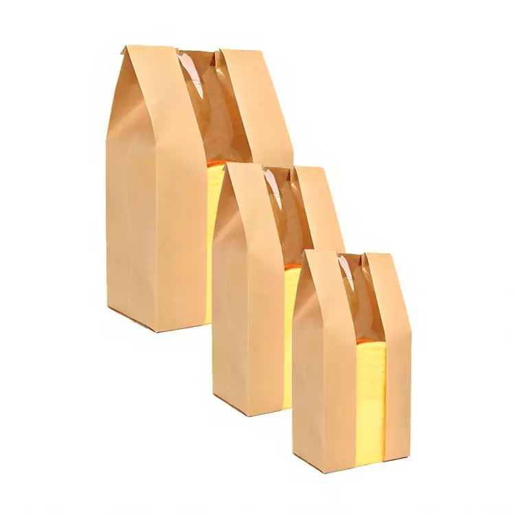 2047  BOLSA DE PAPEL- 21X9X35CM