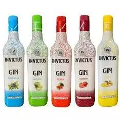 GIN INVICTUS