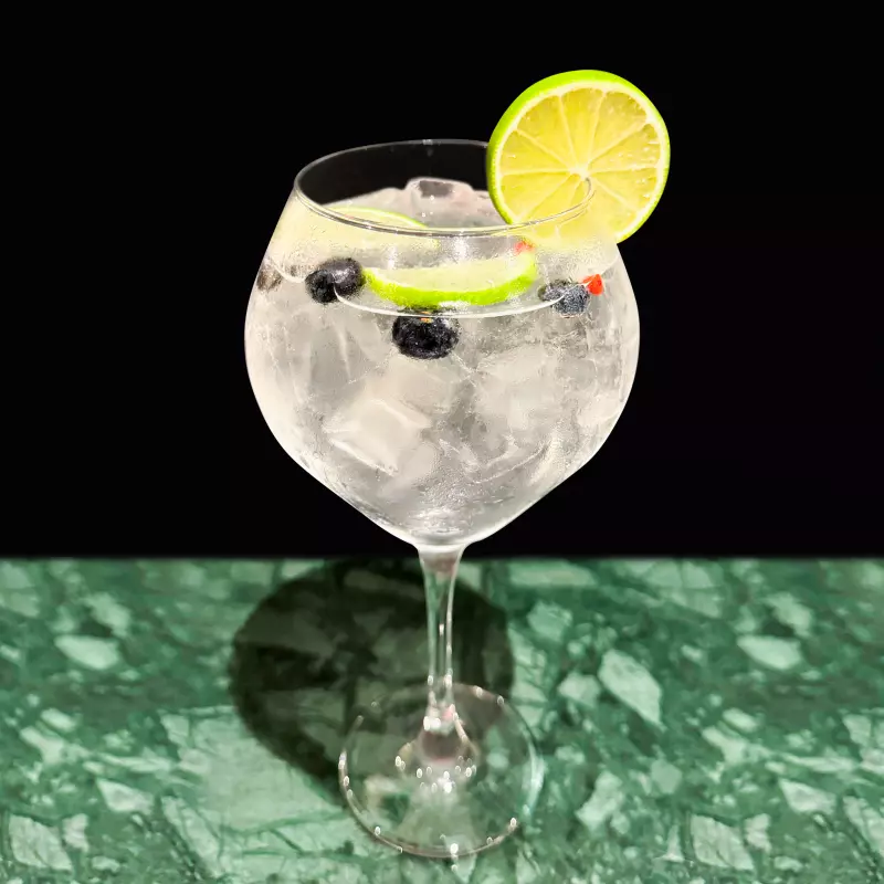 Gin Tonic Premium