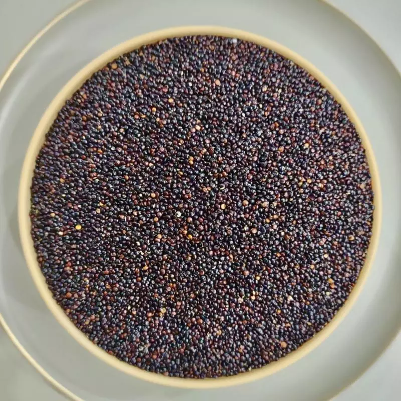 Quinoa Grão Negra 100grs