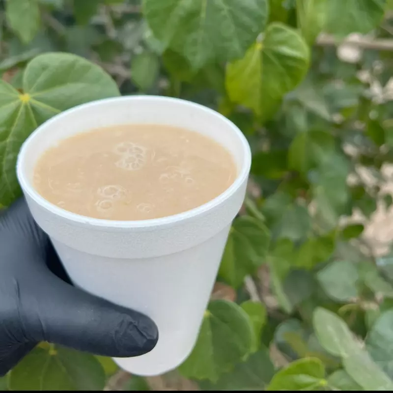 Avena