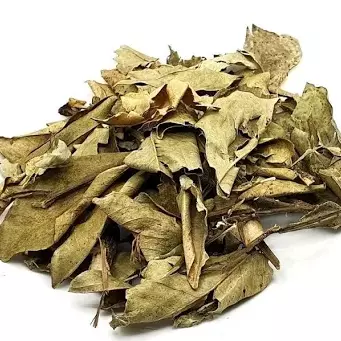 Folha de Laranjeira - 20g