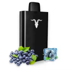 Ignite v80 blueberry ice