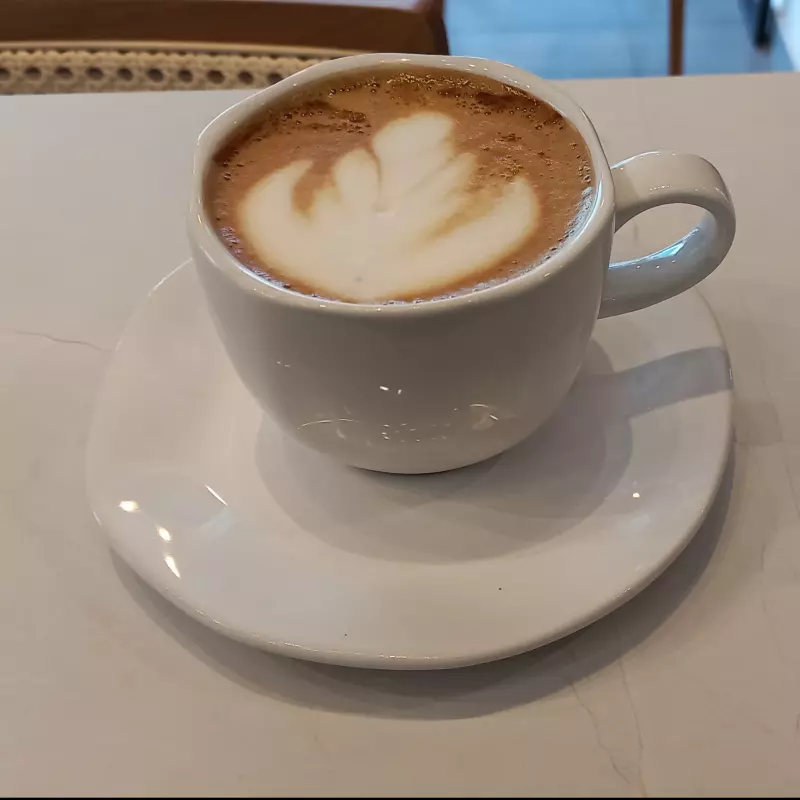 MOCACCINO