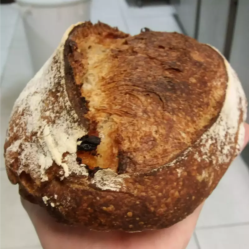 Provolone