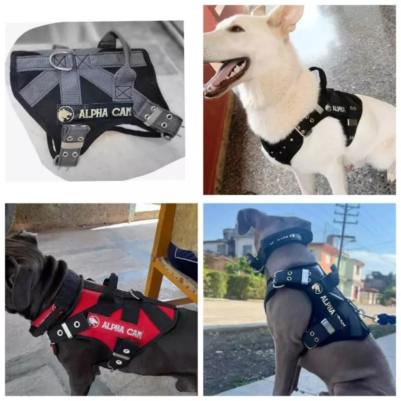 PECHERA TÁCTICA PARA PERROS