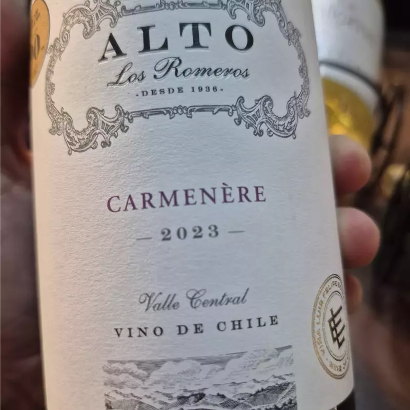 ALTO LOS ROMEIROS CARMENERE