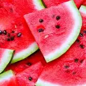 SANDIA PRIMERA