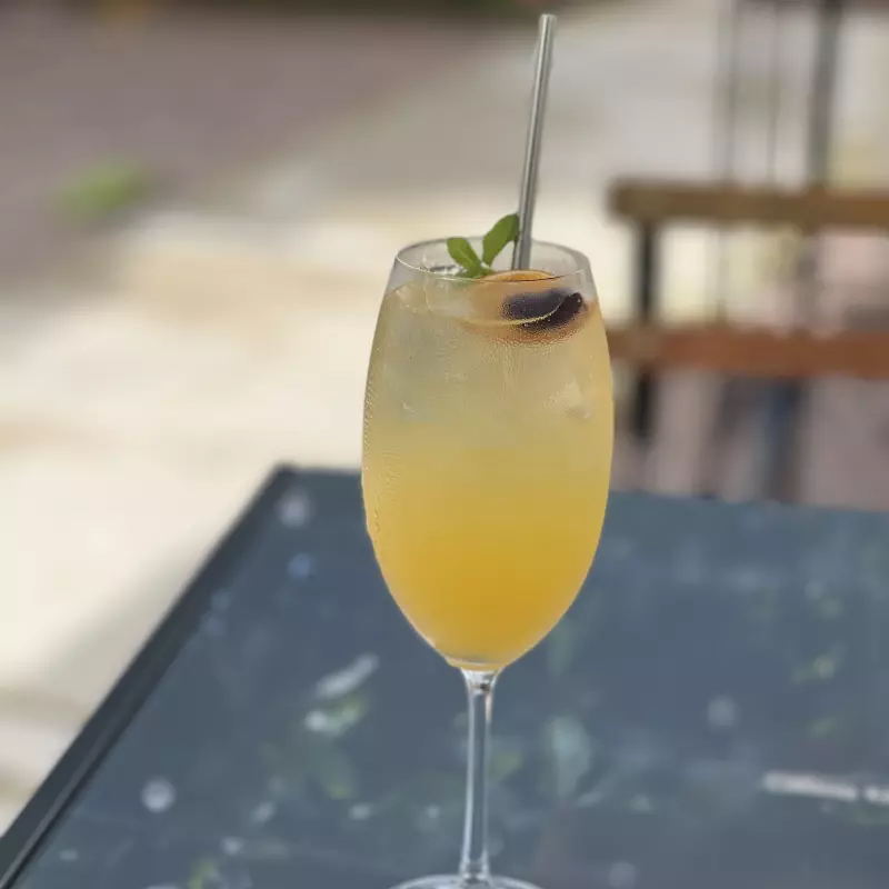 Mimosa
