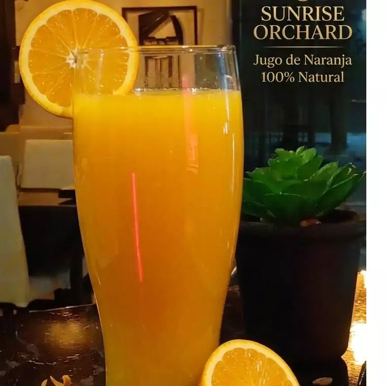 JUGO DE NARANJA 100% NARANJA