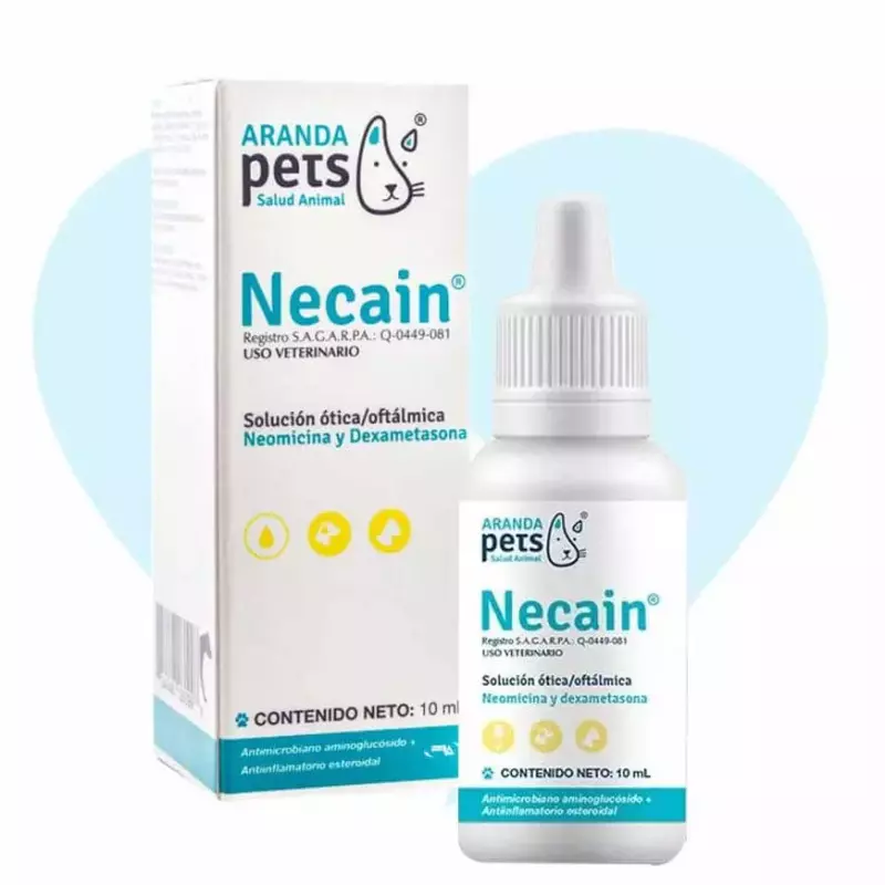 NECAIN