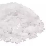 Sosa Cautica