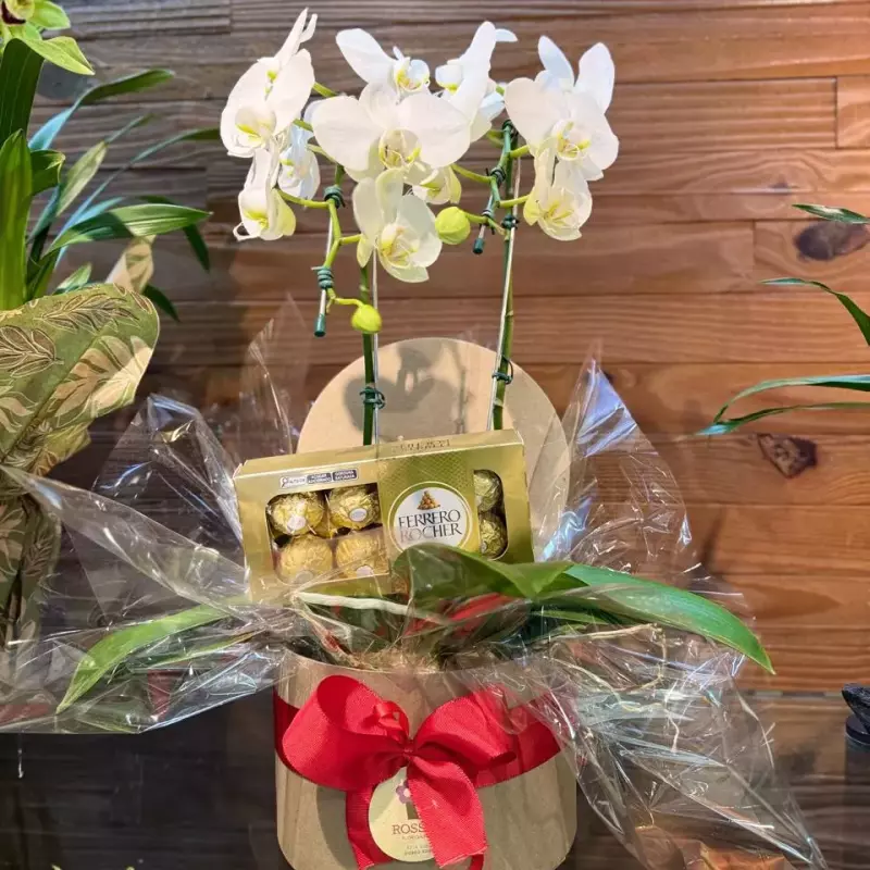 Box Orquíde & Choco