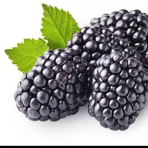 Zarzamora Orgánica x125gr