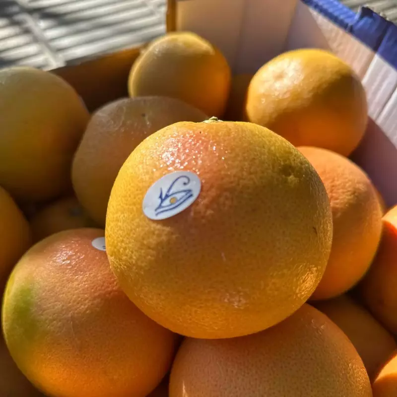Pomelo Egipto x 250gr (58)