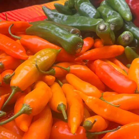 Chilera/ Homemade hot dressing