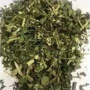 Assa Peixe folhas