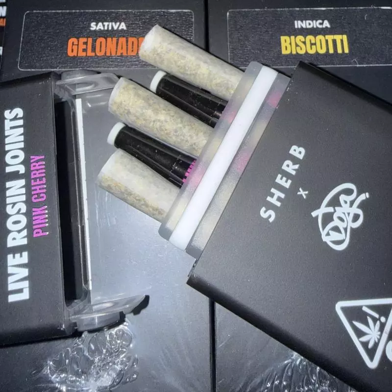 •SHERBINSKISXDOJA ✅🆕