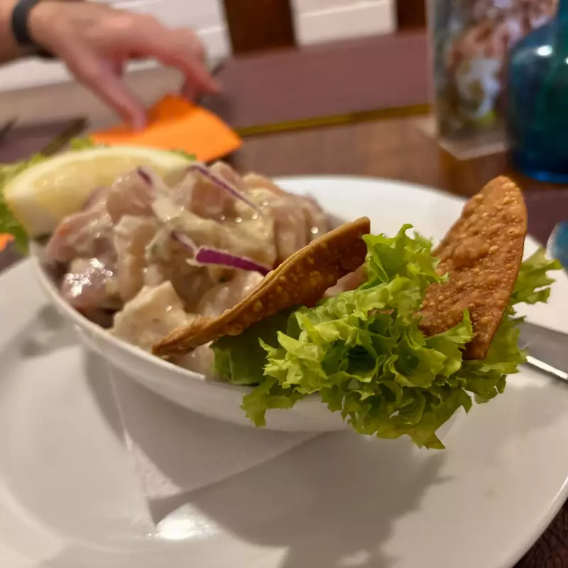 Ceviche Amigos del Sur