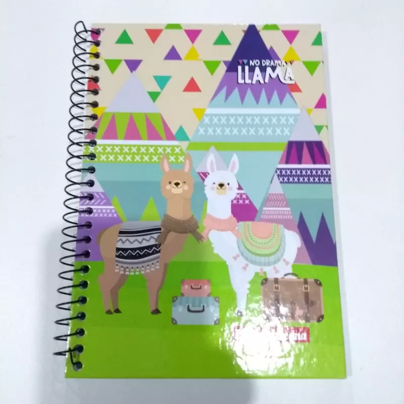 Caderno Esp. Capa d 1/4 Panamericana