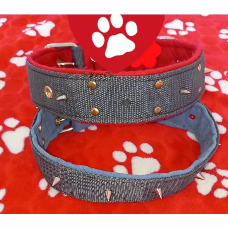 COLLAR CON PINCHOS