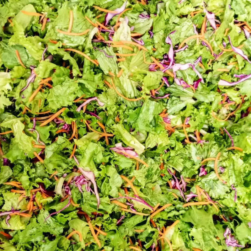 ENSALADA DE LECHUGA