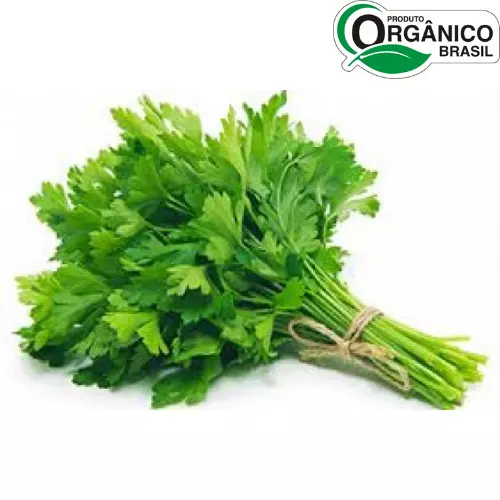 Cheiro verde Orgânico Maço
