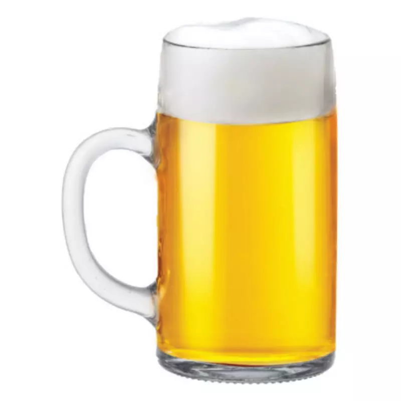 PLEZIER LAGER 660ML
