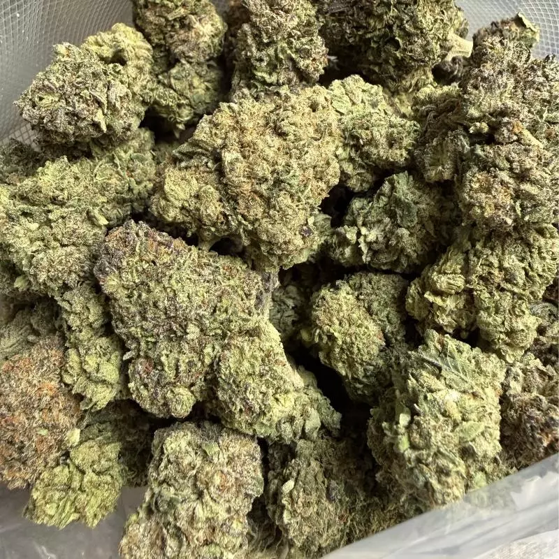 Marshmallow Mountain (Índica)