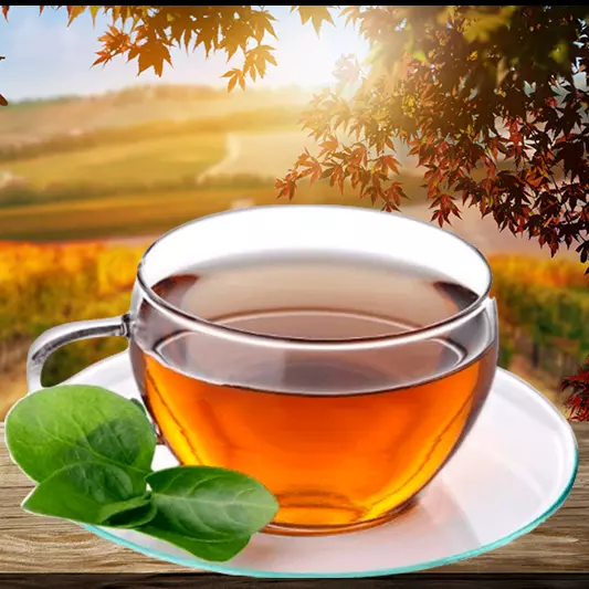 INFUSIONES