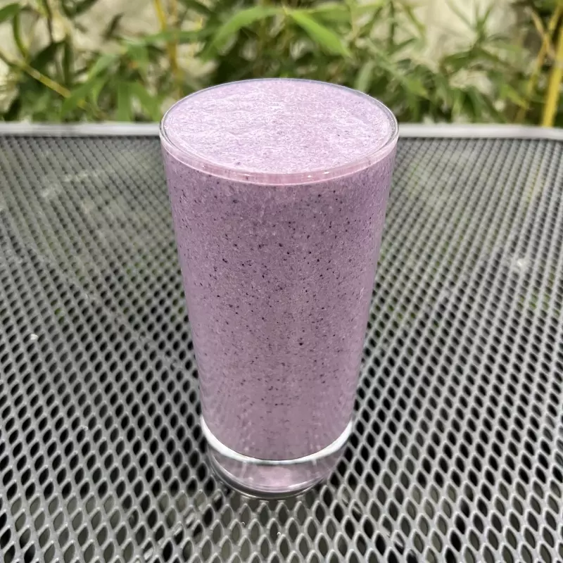 Bird Berries Protein