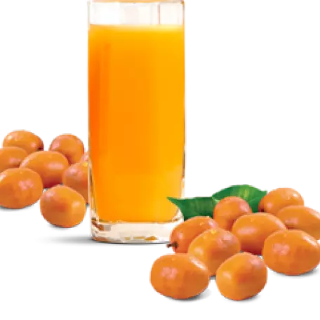 Suco de Cajá